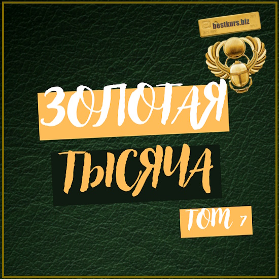 Золотая тысяча. Том 7 - Василина Баранова (2025) vasilinfo Золотая тысяча. Том 7 - Василина Баранова (2025) vasilinfo