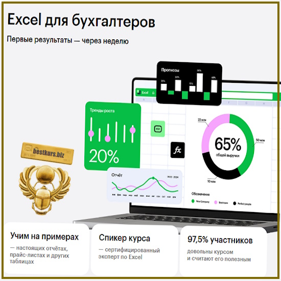 Ехсеl для бухгалтеров - Ренат Шагабутдинов, Евгений Намоконов (2025) Skillbox Ехсеl для бухгалтеров - Ренат Шагабутдинов, Евгений Намоконов (2025) Skillbox