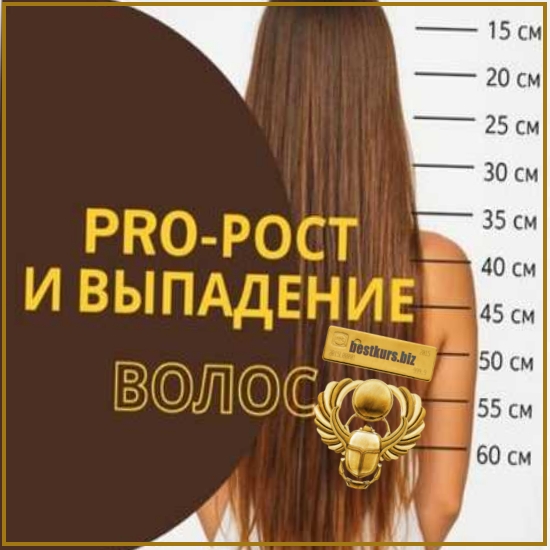 PRO-рост и выпадение волос - Екатерина Кудерцева (2026) katrin_ecotrue PRO-рост и выпадение волос - Екатерина Кудерцева (2026) katrin_ecotrue