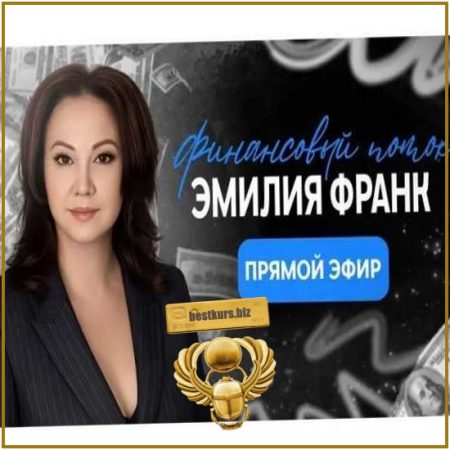 Финансовый поток. Загрузка нового модуля - Эмилия Франк (2026)
