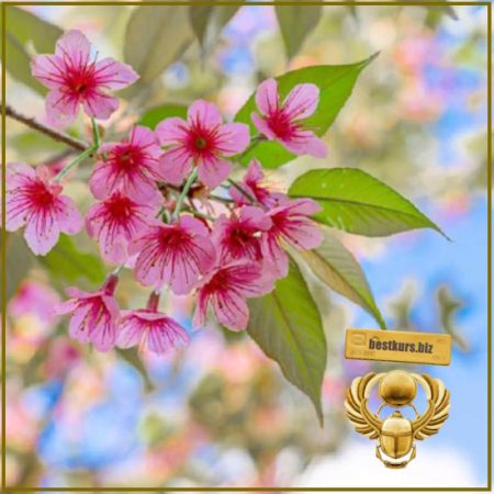 Секреты Най Инь - Светлана Мостовская (2025) Школа Натальи Пугачевой