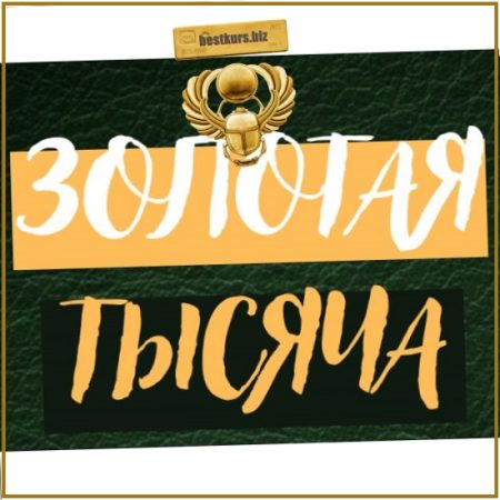 Золотая тысяча. Том 9 - Василина Баранова (2026) vasilinfo