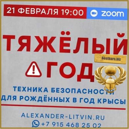 Тяжёлый год. Техника безопасности для рождённых в год Крысы - Александр Литвин (2026)