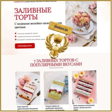 Заливные торты - Елена Решетняк (2026) Cake Pro