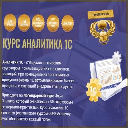 Курс Аналитика 1C - Илья Отькало, Станислав Митичкин, Андрей Коптелов (2025) CORS Academy