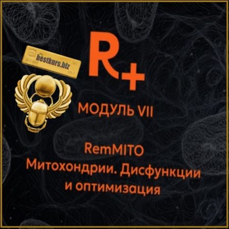 R+. Модуль 7. РемМИТО (RemMITO) . Митохондрии. Дисфункции и оптимизация - Владимир Попов (2026) Remee+