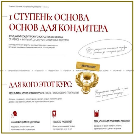 Кондитерский университет: основа основ для кондитера 6.0. 1 ступень - Елена Скрыган (2026) Coup de coeur