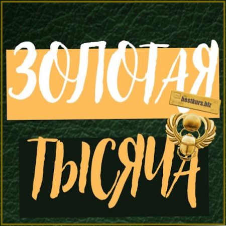 Золотая тысяча. Том 11 - Василина Баранова (2026) vasilinfo