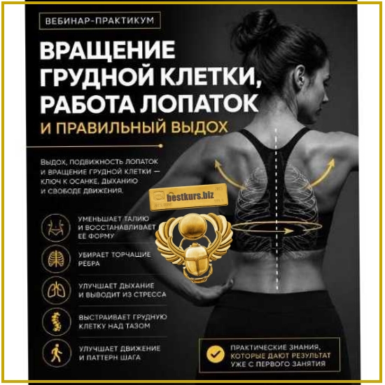 Вращение грудной клетки, работа лопаток и правильный выдох - Александр Волоткевич (2026) Вращение грудной клетки, работа лопаток и правильный выдох - Александр Волоткевич (2026)