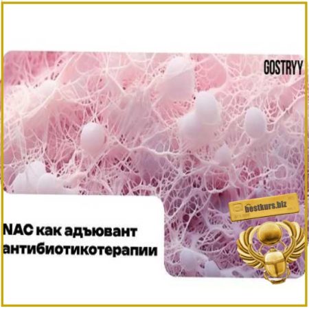 NAC как адьювент антибиотикотерапии - Андрей Гострый (2026)