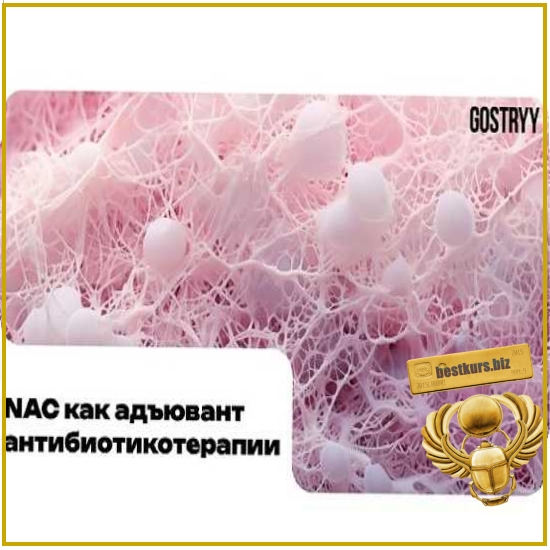 NAC как адьювент антибиотикотерапии - Андрей Гострый (2026) NAC как адьювент антибиотикотерапии - Андрей Гострый (2026)