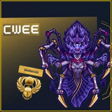 Сертифицированный эксперт по эксплуатации веб-приложений Hack The Box (HTB CWEE) (часть 1/2024) HTB Academy