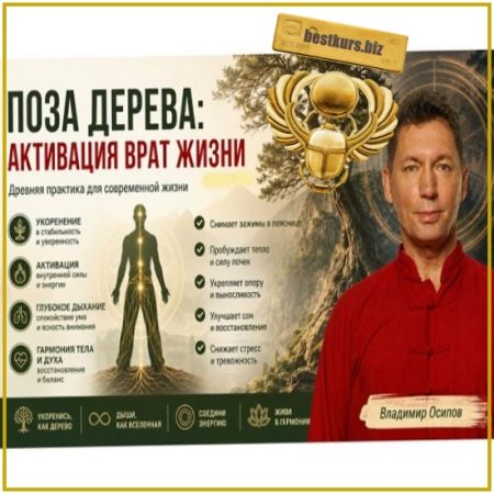 Поза дерева: активация врат жизни - Владимир Осипов (2026)