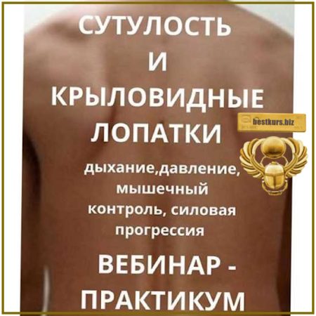 Сутулость и крыловидные лопатки. Дыхание, давление, мышечный контроль, силовая прогрессия - Александр Волоткевич (2026)