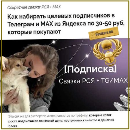 Секретная связка: РСЯ + МАКС (июль 2026) - Евгения Васильева