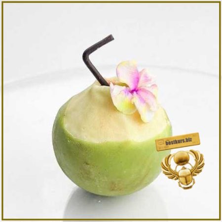 Корпусное пирожное Кокос - Ксения Хохлова, Екатерина Давыдова (2026) Pastry Lab