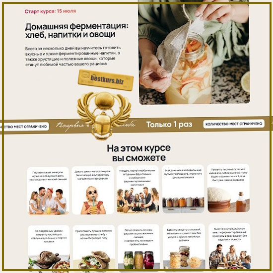 Домашняя ферментация: хлеб, напитки и овощи - Инна Горобец (2026) Домашняя ферментация: хлеб, напитки и овощи - Инна Горобец (2026)