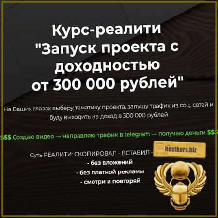 Курс-реалити Запуск проекта с доходностью от 300.000 - Александр Пуминов (2026)